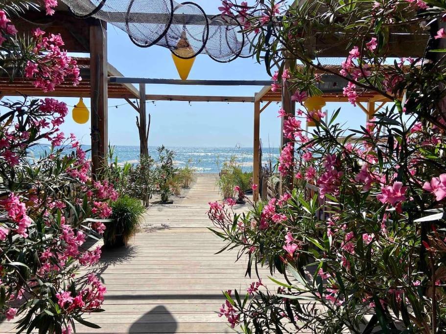 Les Voiles Blanches T2 Luxe A 100M De La Plage Leucate Exteriér fotografie