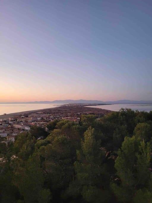 Les Voiles Blanches T2 Luxe A 100M De La Plage Leucate Exteriér fotografie