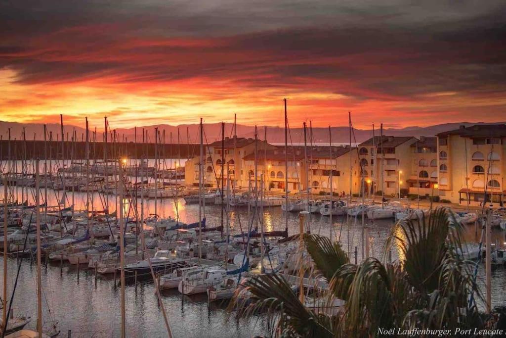 Les Voiles Blanches T2 Luxe A 100M De La Plage Leucate Exteriér fotografie